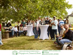 Festival Mar de Tethys 2026 - Bodega Vetas